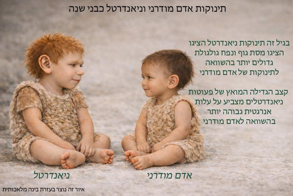 זרקור על מחקר 