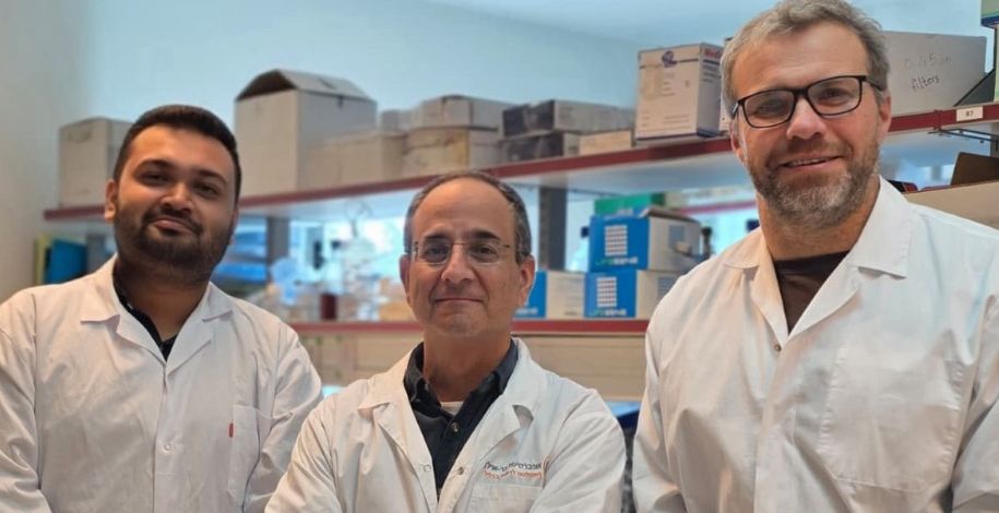 מאיר שמאי וצוותו