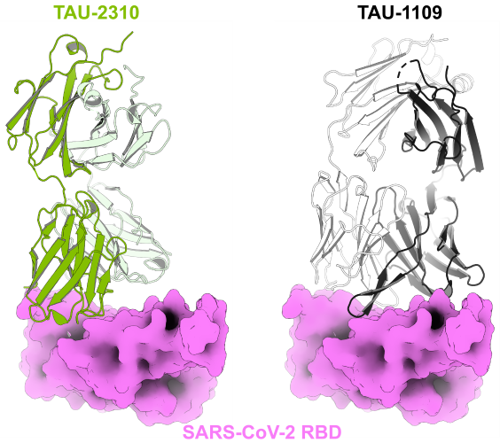 TAU-1109 and TAU-2310 
