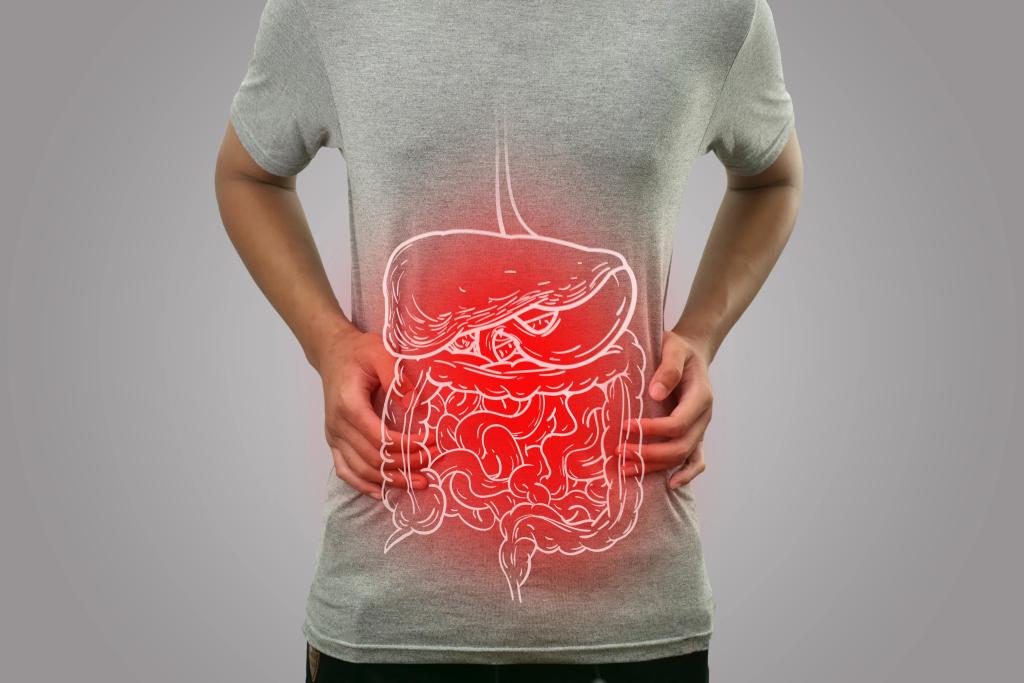 digestion shutterstock