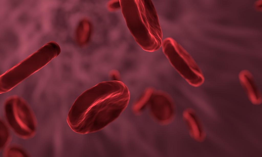 red blood cells pixabay