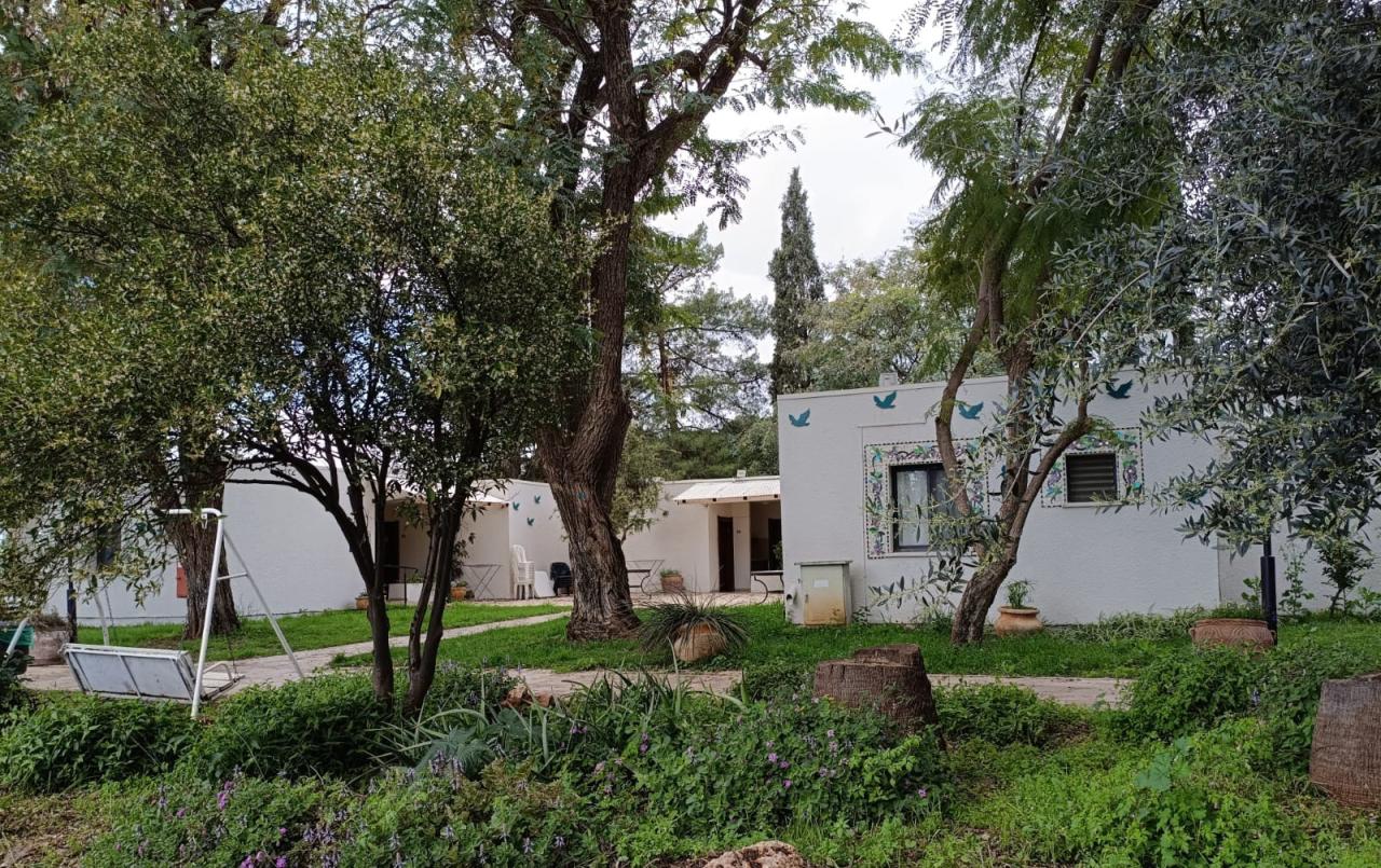 כפר סטודנטים