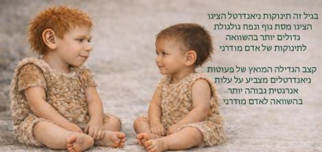 זרקור על מחקר 