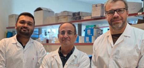 מאיר שמאי וצוותו