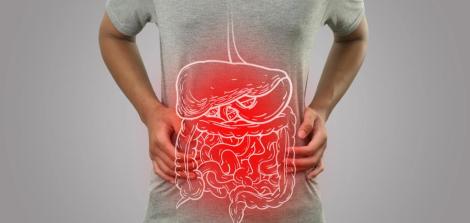 digestion shutterstock