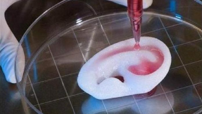 biovoicenews article image 3D printing