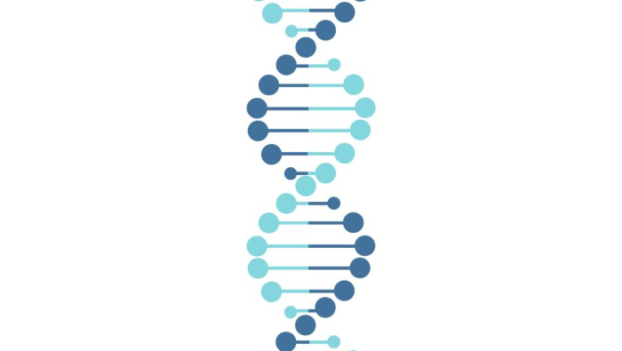 DNA shutterstock