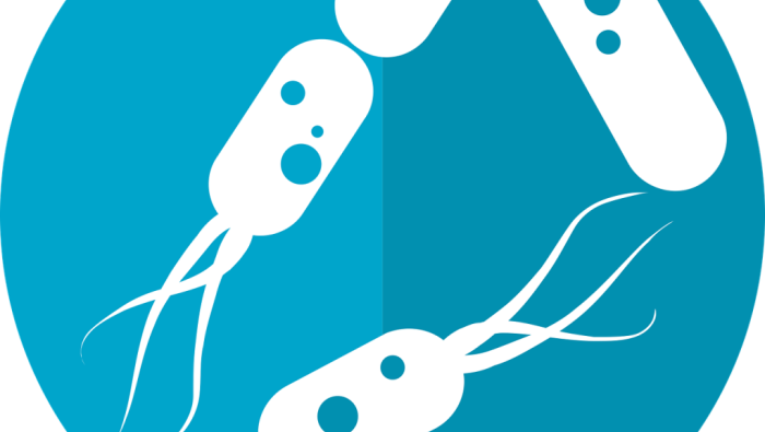 MICROBIOME