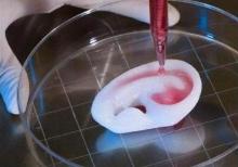 biovoicenews article image 3D printing