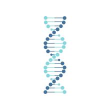 DNA shutterstock