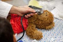 בית חולים לדובים פקולטה לרפואה בר אילן