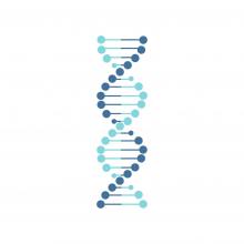 DNA shutterstock