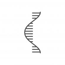 RNA shutterstock
