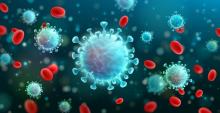 coronavirus shutterstock