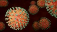 coronavirus pixabay