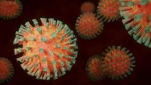 coronavirus shutterstock