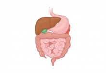 digestion shutterstock