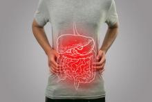 stomach shutterstock