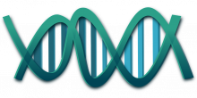 DNA RNA