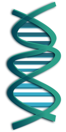 DNA RNA pixabay
