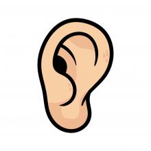 ear shutterstock