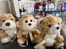 teddy bear strength and resilience center