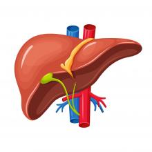 liver shutterstock