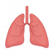 lung shutterstock