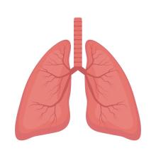 lung shutterstock