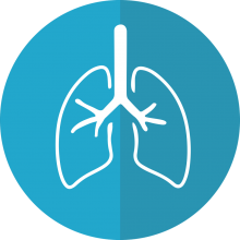 lungs-2803208_1280 needpix