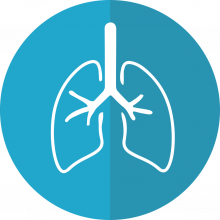 lungs-2803208_1280 needpix