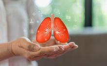 lung shutterstock