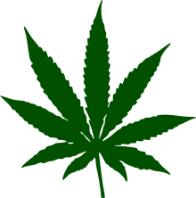 cannabis pixabay