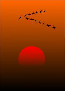 migratory birds pixabay