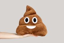 poop shutterstock